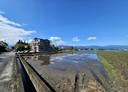 三星鄉-土地，794.9坪