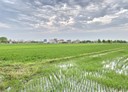 員山鄉-土地，925.1坪