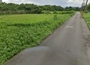八德區-大安段土地，87.2坪