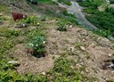 埔里鎮-南村段土地，523.8坪