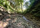 金山區-土地，27162坪
