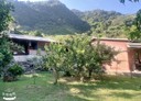 復興區-土地，921.7坪