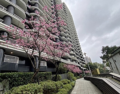 JZ碧波白住辦小豪宅 - Image 7