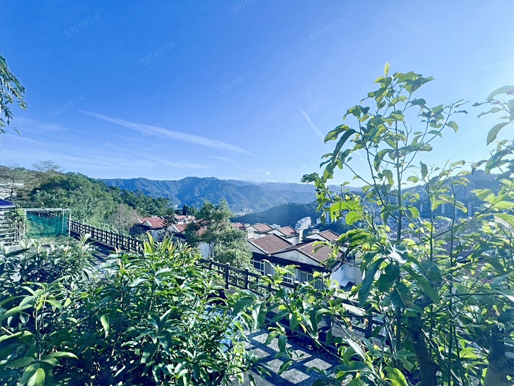 房屋圖片