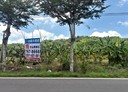 美濃區-龍東街土地，847坪