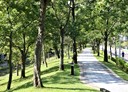 內湖區-行善路3房2廳，49.8坪