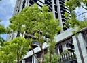 桃園區-民光東路3房2廳，42.8坪