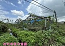 鹽水區-番子厝段土地，4493.9坪
