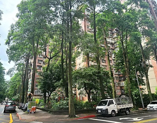 ◆大安森林公園+大安站◆隱市優氧3房住家◆可租補 - Image 16