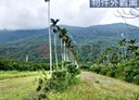 秀林鄉-土地，925坪