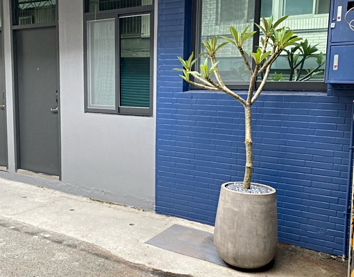 獨家大採光大套房~近內科南軟附獨立洗脫烘收垃圾供飲水 - Image 2