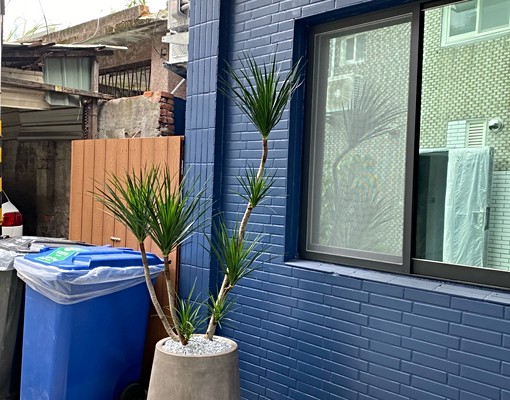 獨家大採光大套房~近內科南軟附獨立洗脫烘收垃圾供飲水 - Image 6