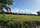 大園區-土地，1599坪