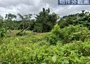 瑞穗鄉-瑞北段土地，54.9坪