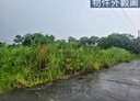 鳳林鎮-土地，1209坪