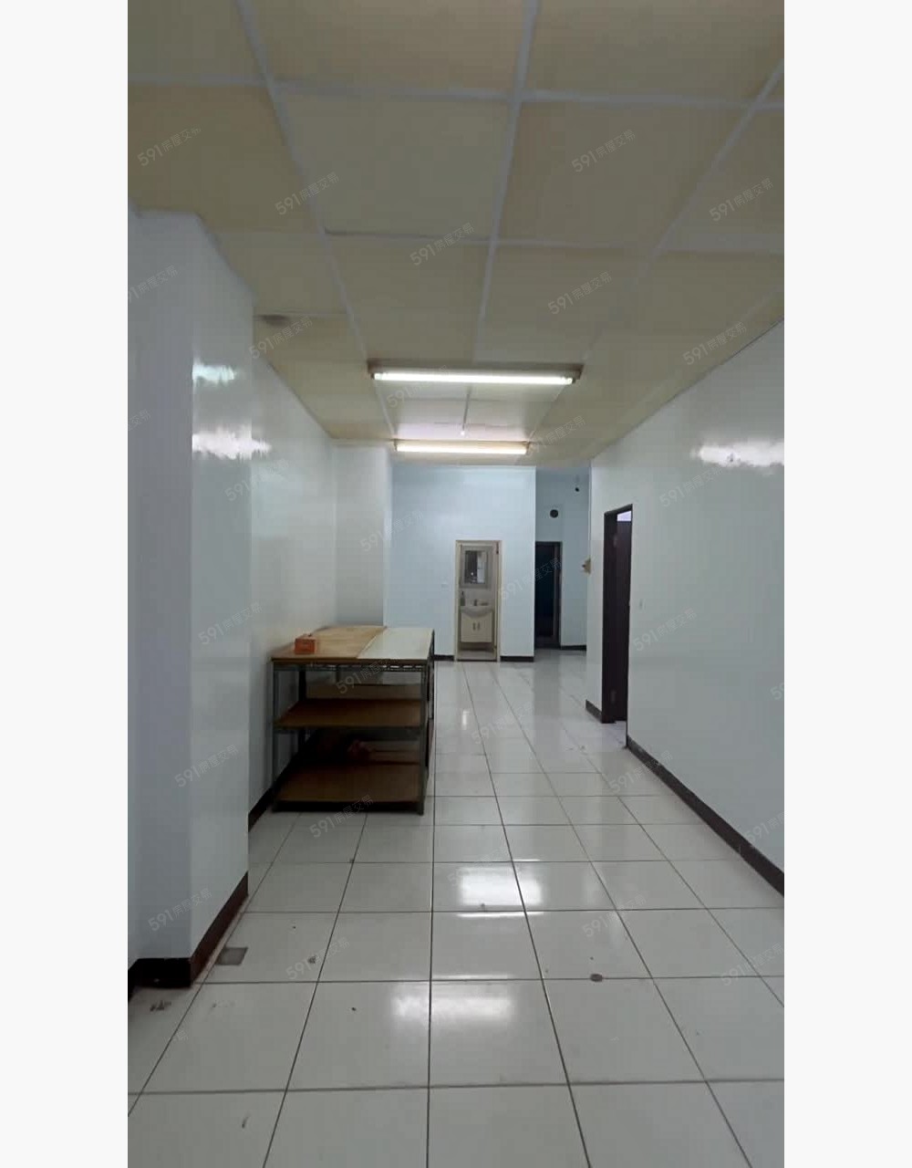 租補稀有一樓出租/全室空屋/可寵物 - Image 1