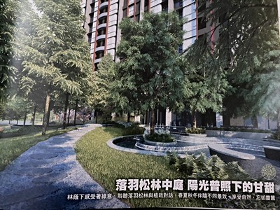 社區圖片