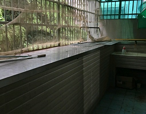 芝山國小大三房 - Image 11