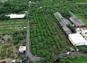 歸仁區-土地，595.6坪