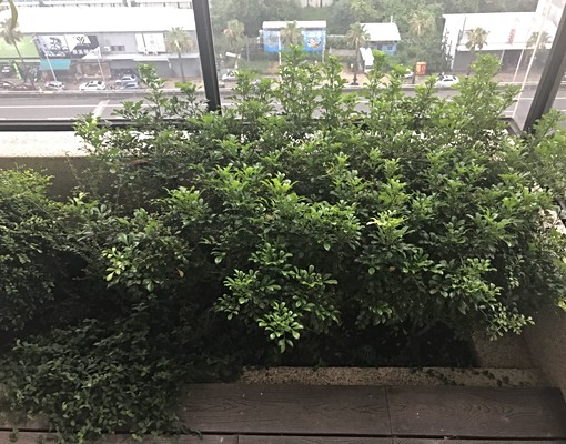 高樓層景觀有裝潢電梯華夏 - Image 17