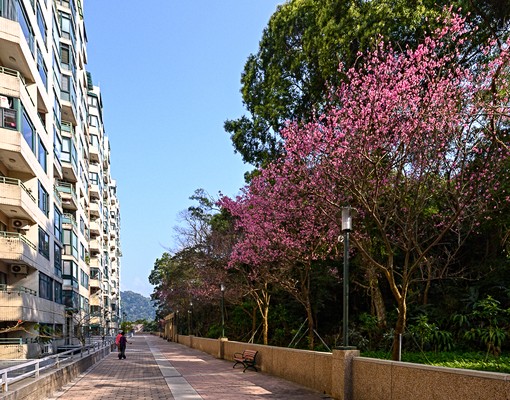 💗專營石門水庫中科院水鄉山景溫馨渡假套房拎包入住可租屋補助 - Image 13