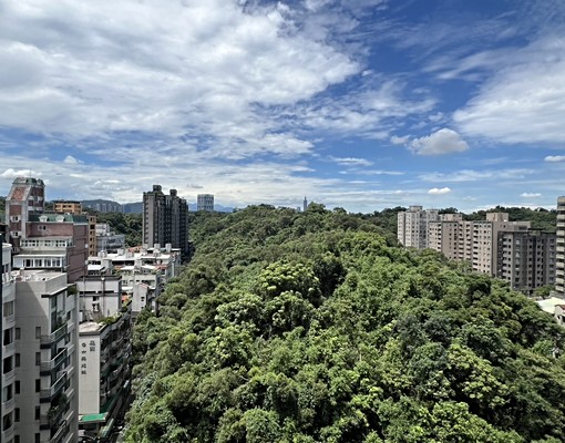 《寬悅團隊》Lan葫洲站高樓景觀豪邸一層一戶 - Image 2