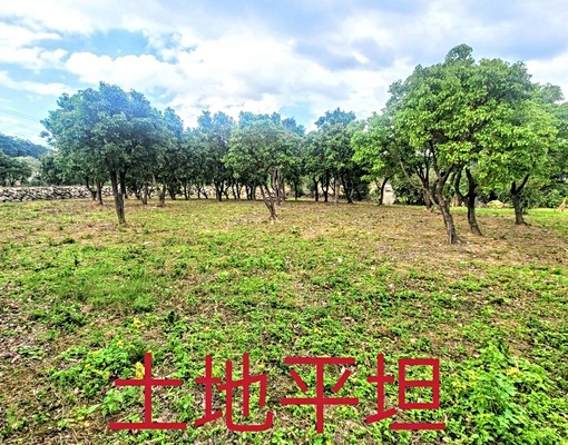 物件圖片
