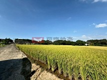 大矽谷頂埔美農地產專區