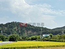 交流道特定區20米路旁投