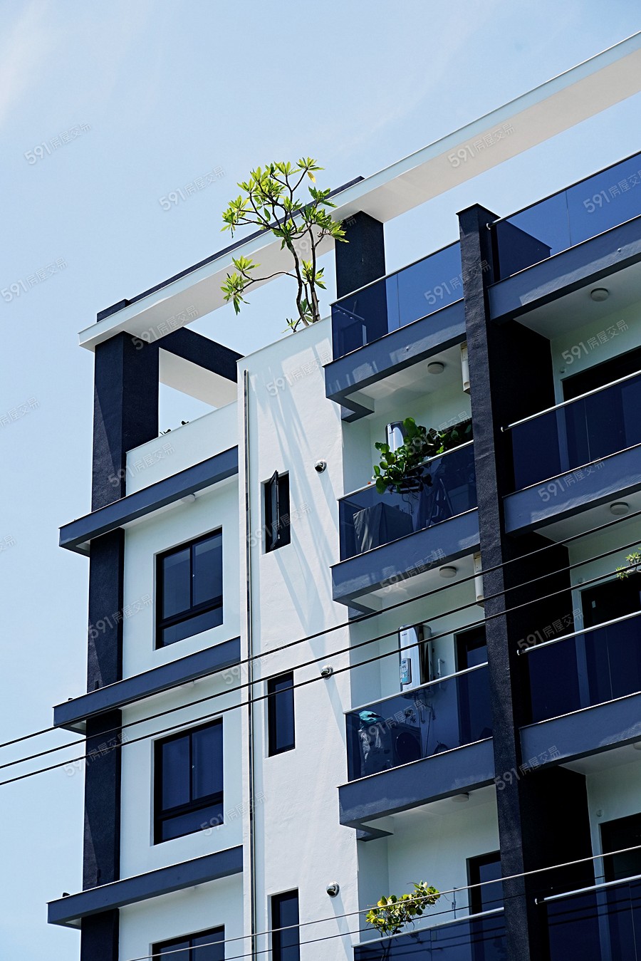 陸陸大順實景圖