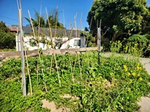 中和街三段新社甲建+農地。..