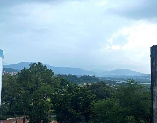 嘉禾社宅/免仲可租補/大溪中山路大坪數三房 - Image 3