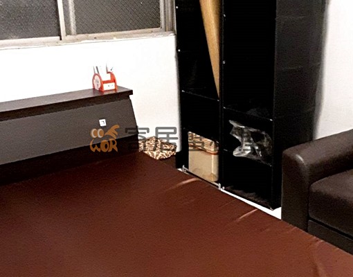 寄居蟹社會住宅🏠小港區民益路免仲可補助 - Image 4