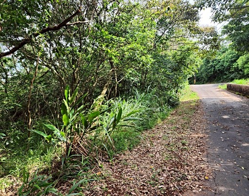 林口瑞平｜大面寬臨路土地🎖庭華精選🍀