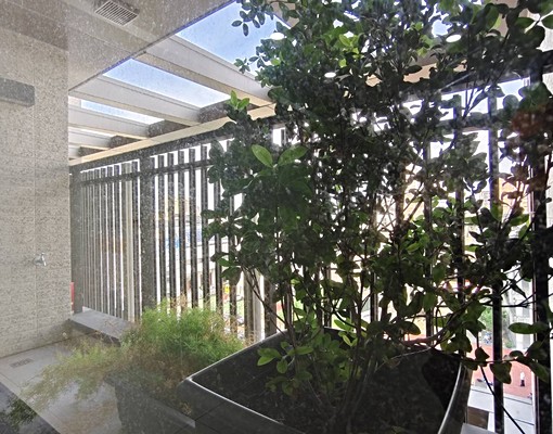 🏠好好窩租屋❇️國聚之碩大3房❇️大鵬國小對面💖含車含管 - Image 12