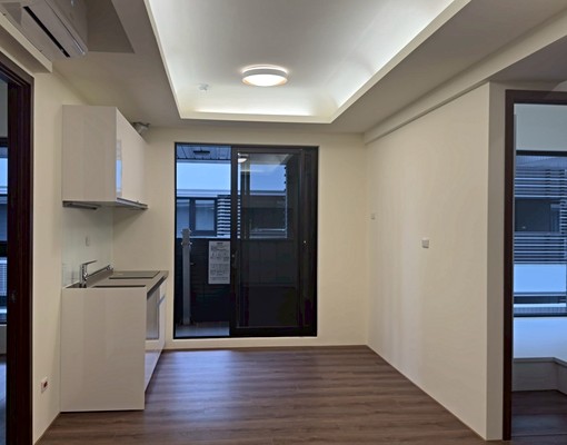 桃大玥2+1房(含車含管)下樓看演唱會~~漫遊橫山書法公園 - Image 5