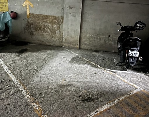 菜公一巨蛋商圈萌寵採光電梯3房平車近捷運國10📞愛窩 - Image 12