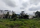 楊梅區-草湳坡段土地，1029坪