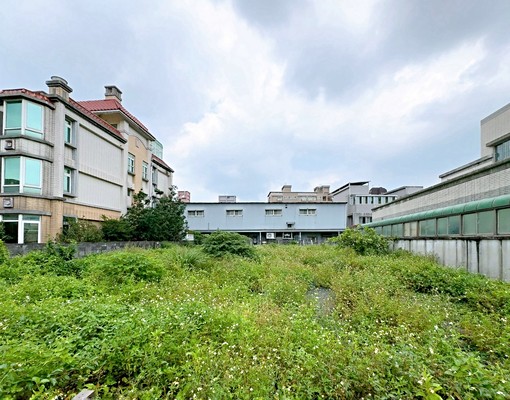 近康橋伯大尼夏恩丨隆林街別墅區新林段住一鄰路方正建地