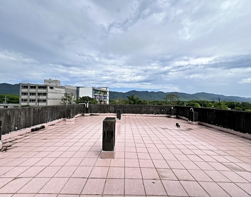 壽豐👋農舍出租👋土地967坪超大庭院 - Image 12