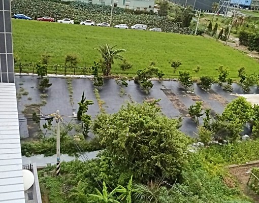 顧家🍎全新建案兩房全配/可租補/寵可談/觀音新坡蓮園66 - Image 10