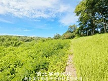 玉井區玉南段休閒農地