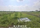 安定區-土地，485.8坪