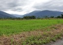 鳳林鎮-土地，760坪