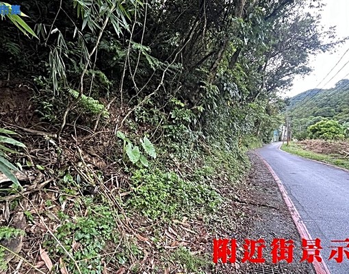 青雲路尖山段臨路投資土地💖中信劉蕙蘭