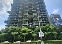 竹北市-嘉豐南路一段3房3廳，132.2坪