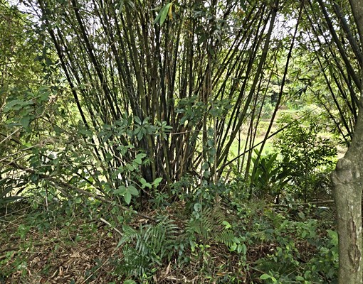物件圖片