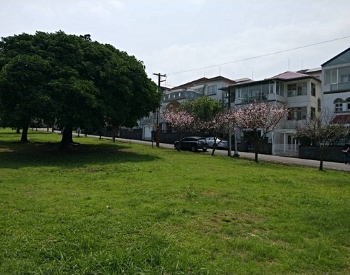 物件圖片