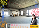林口區-信義路開放式格局，181.1坪