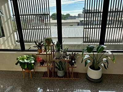 社區圖片